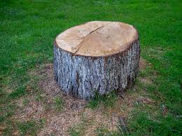 Best Lot and Land Clearing  in Bunker Hl, IL