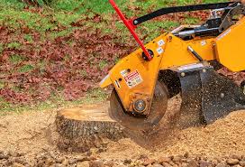 Best Leaf Removal  in Bunker Hl, IL