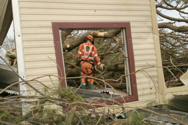 Best Tree Mulching  in Bunker Hl, IL